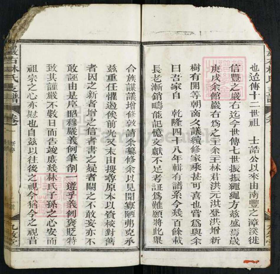 江西省上饶市广丰区毛村镇林氏九牧堂族谱-严右林氏支谱.pdf电子版预览图2