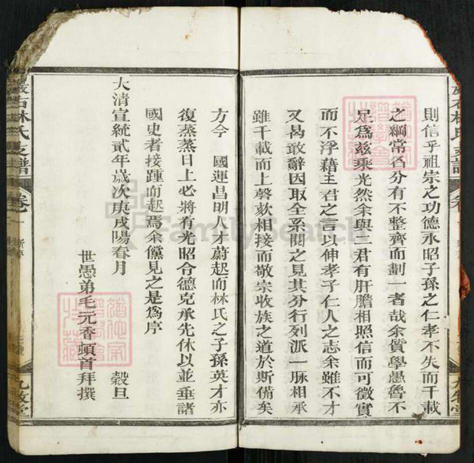 江西省上饶市广丰区毛村镇林氏九牧堂族谱-严右林氏支谱.pdf电子版预览图3