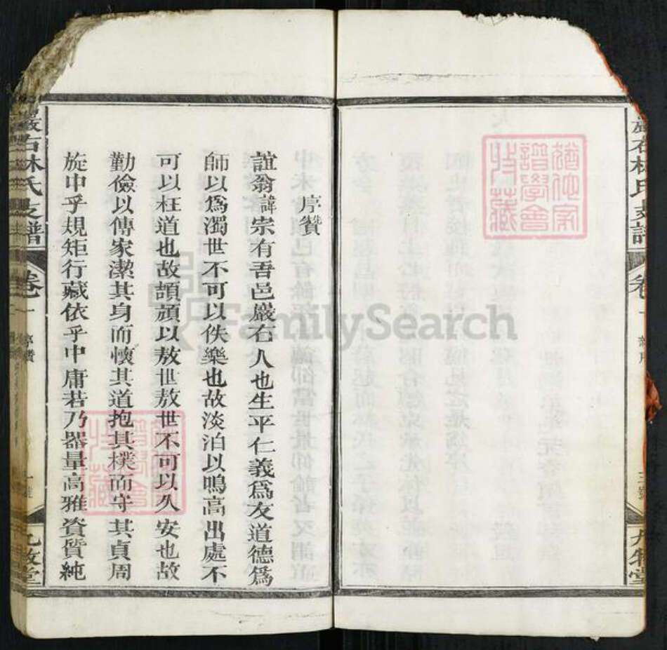 江西省上饶市广丰区毛村镇林氏九牧堂族谱-严右林氏支谱.pdf电子版预览图4