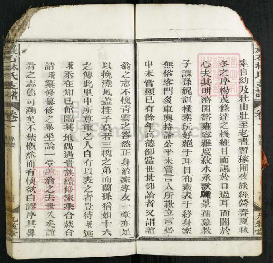 江西省上饶市广丰区毛村镇林氏九牧堂族谱-严右林氏支谱.pdf电子版预览图5