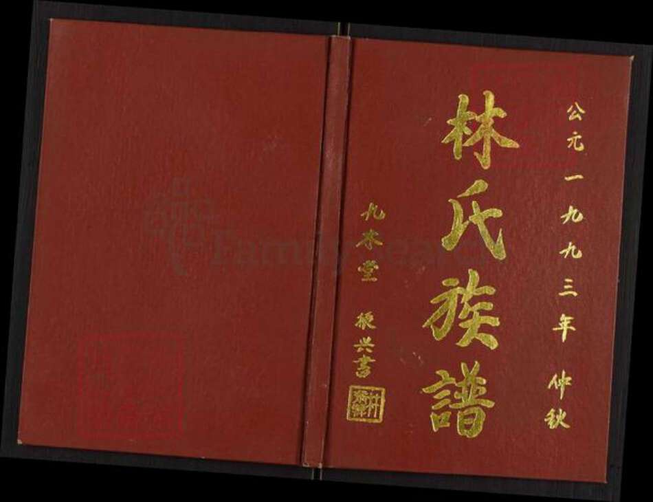江苏省淮安市淮安区林氏九木堂族谱-林氏族谱.pdf电子版缩略图