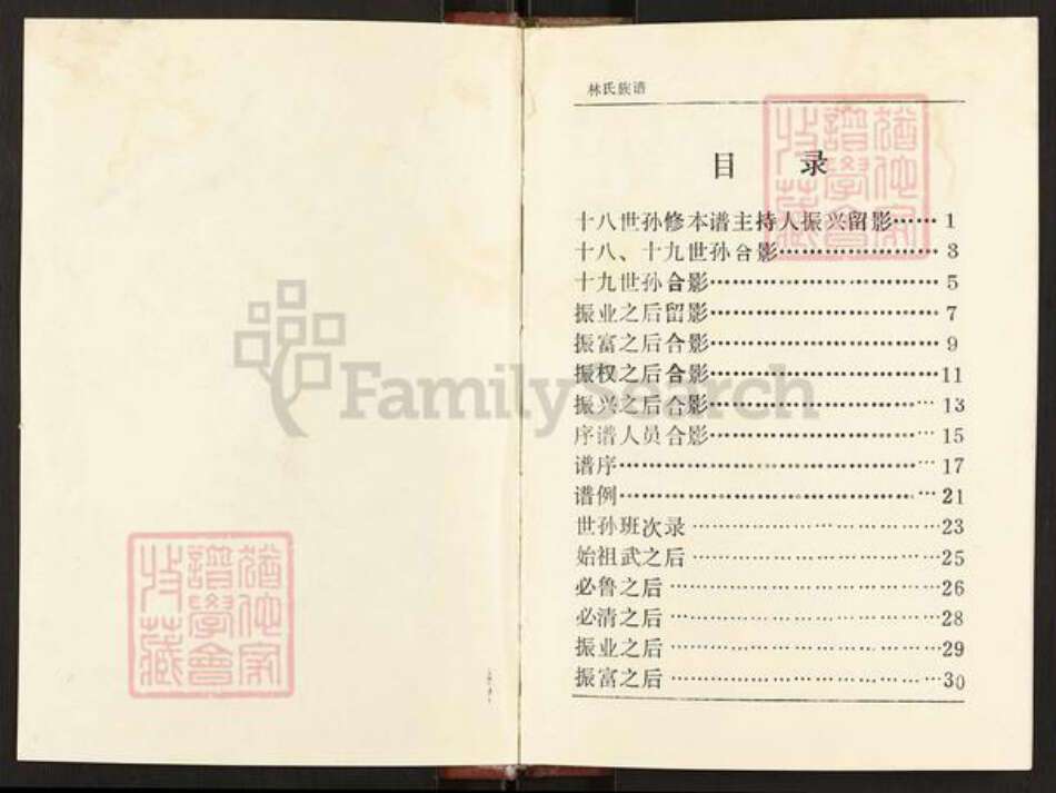 江苏省淮安市淮安区林氏九木堂族谱-林氏族谱.pdf电子版预览图1