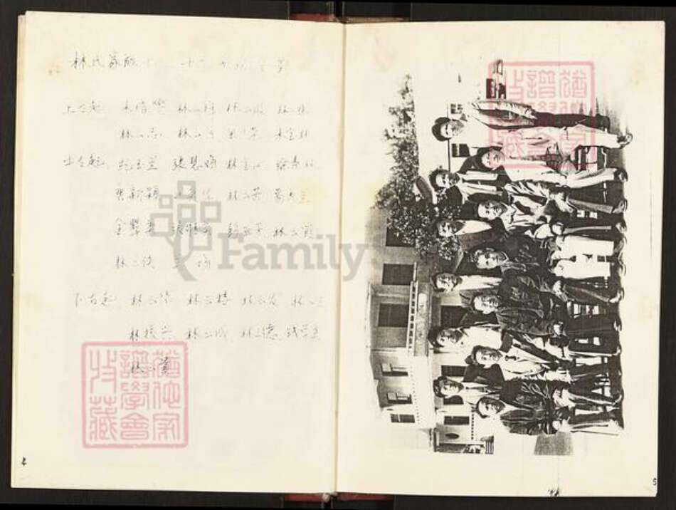 江苏省淮安市淮安区林氏九木堂族谱-林氏族谱.pdf电子版预览图5