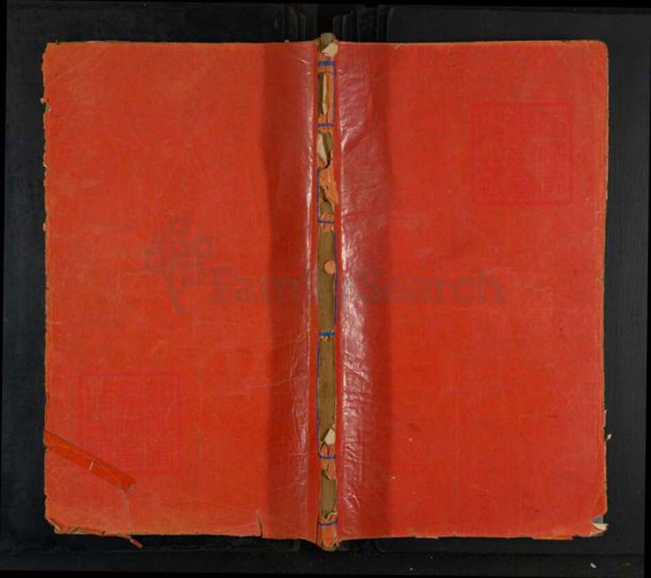 江西省上饶市广丰区林氏九牧堂族谱-林氏宗谱.pdf电子版缩略图