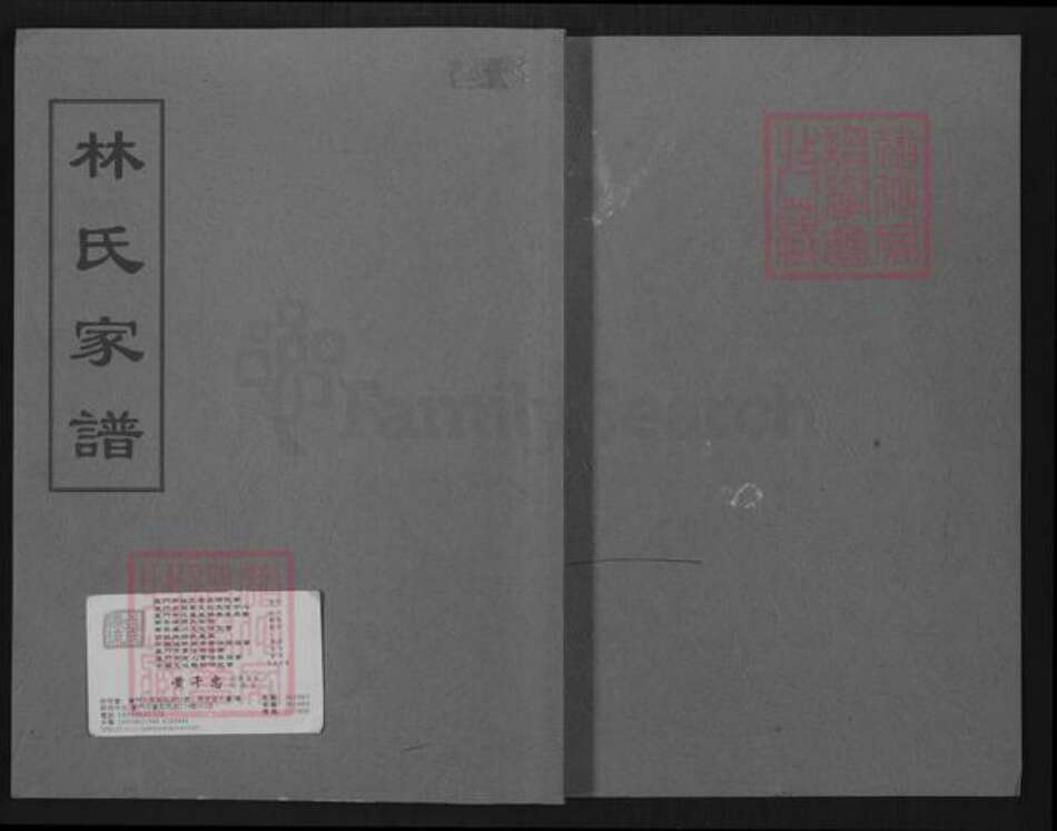 福建省泉州市南安市金淘镇林氏族谱-锦田西河林氏家谱.pdf电子版缩略图