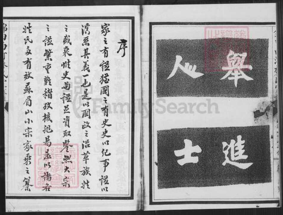 福建省泉州市南安市金淘镇林氏族谱-锦田西河林氏家谱.pdf电子版预览图2