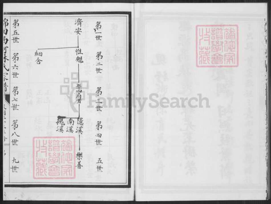福建省泉州市南安市金淘镇林氏族谱-锦田西河林氏家谱.pdf电子版预览图5