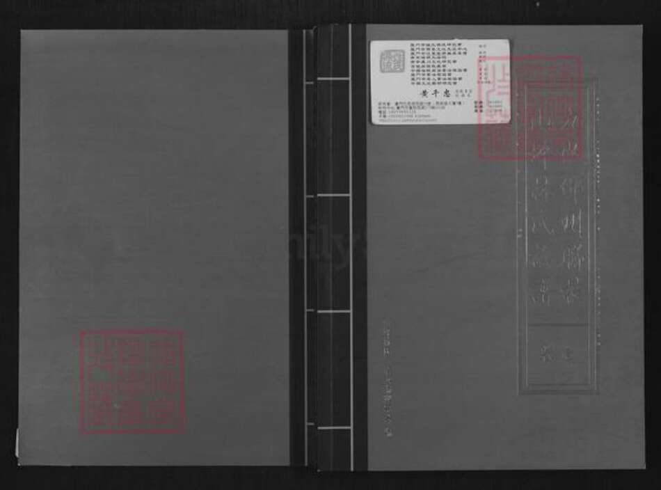 福建省泉州市南安市林氏族谱-九牧邵州联桂山坪林氏族谱.pdf电子版缩略图