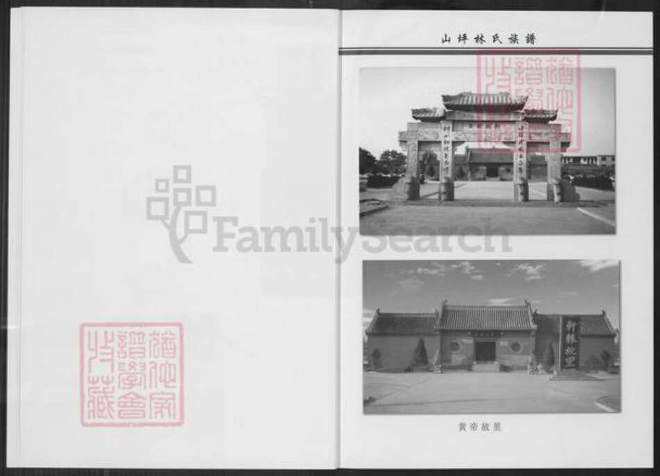 福建省泉州市南安市林氏族谱-九牧邵州联桂山坪林氏族谱.pdf电子版预览图4