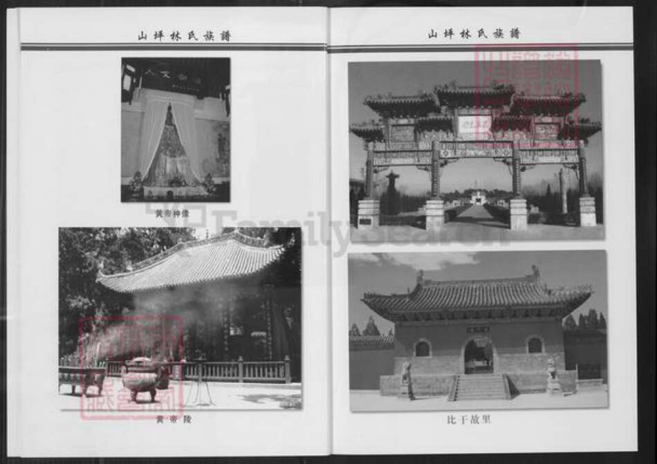 福建省泉州市南安市林氏族谱-九牧邵州联桂山坪林氏族谱.pdf电子版预览图5