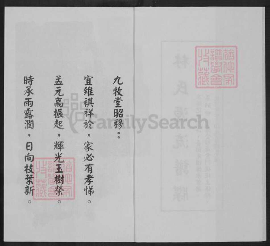 福建省泉州市金门县林氏九牧堂族谱-金门后埯上保乡林氏族谱.pdf电子版预览图2