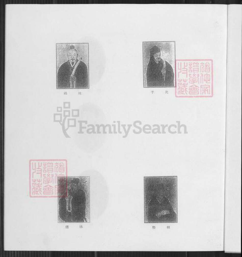 福建省泉州市安溪县龙门镇福建省厦门市同安区林氏族谱-林氏族谱.pdf电子版预览图2