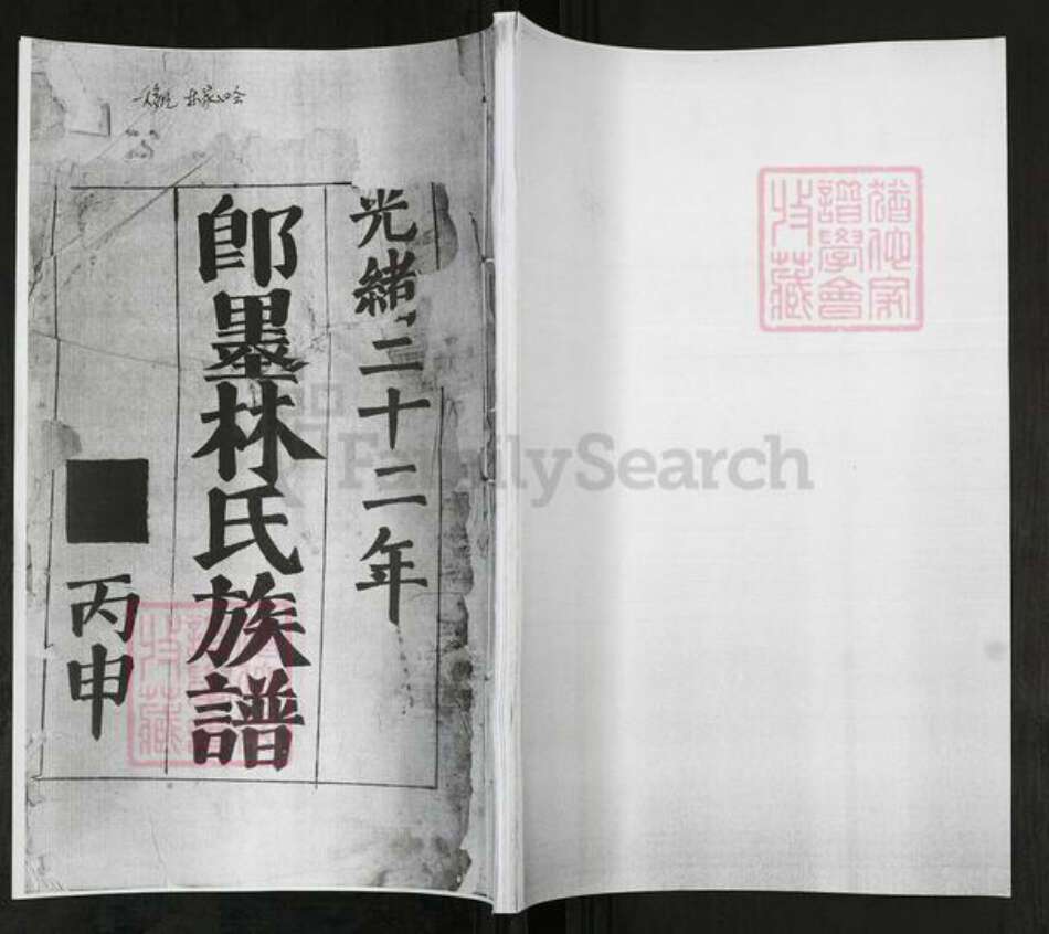 山东省青岛市即墨区林氏族谱-即墨林氏族谱.pdf电子版缩略图