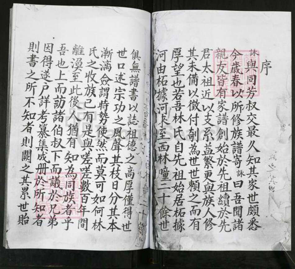 山东省青岛市即墨区林氏族谱-即墨林氏族谱.pdf电子版预览图2