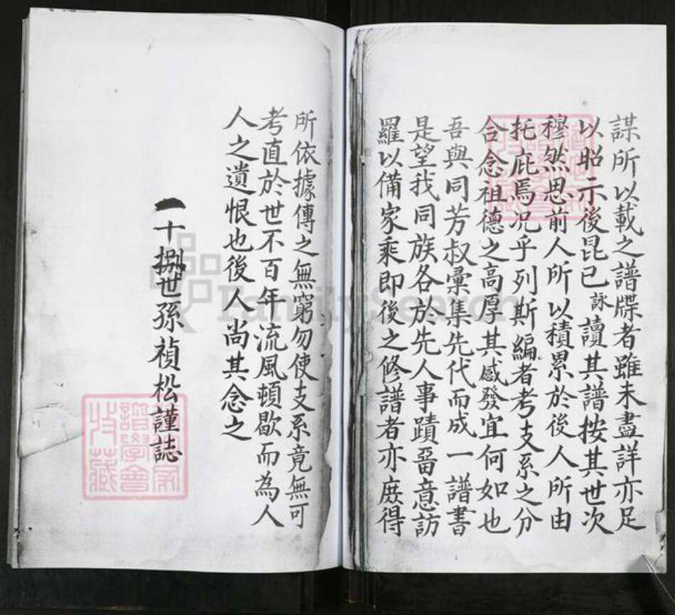 山东省青岛市即墨区林氏族谱-即墨林氏族谱.pdf电子版预览图3