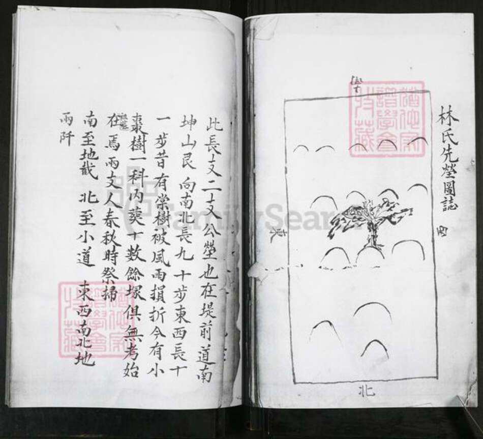 山东省青岛市即墨区林氏族谱-即墨林氏族谱.pdf电子版预览图4