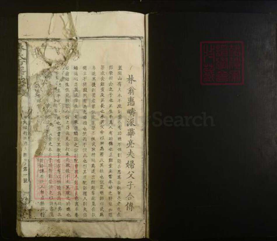 江西省赣州市赣县区林氏族谱-林氏重修族谱.pdf电子版预览图1