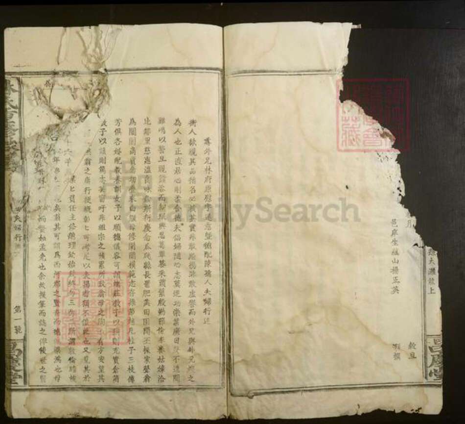 江西省赣州市赣县区林氏族谱-林氏重修族谱.pdf电子版预览图5