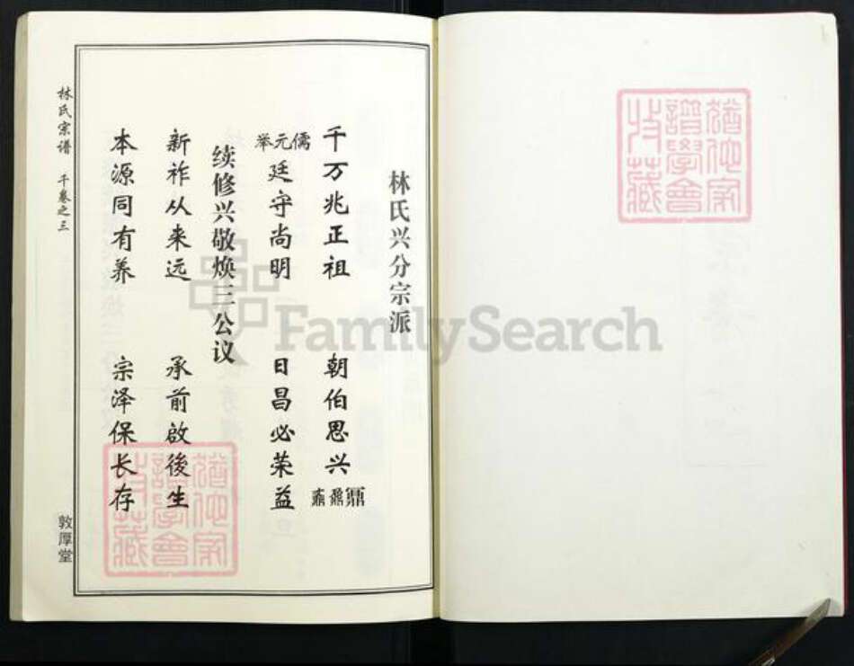 湖北省林氏族谱-林氏宗谱.pdf电子版预览图2