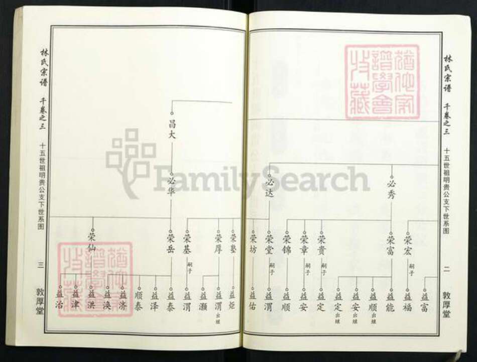湖北省林氏族谱-林氏宗谱.pdf电子版预览图4