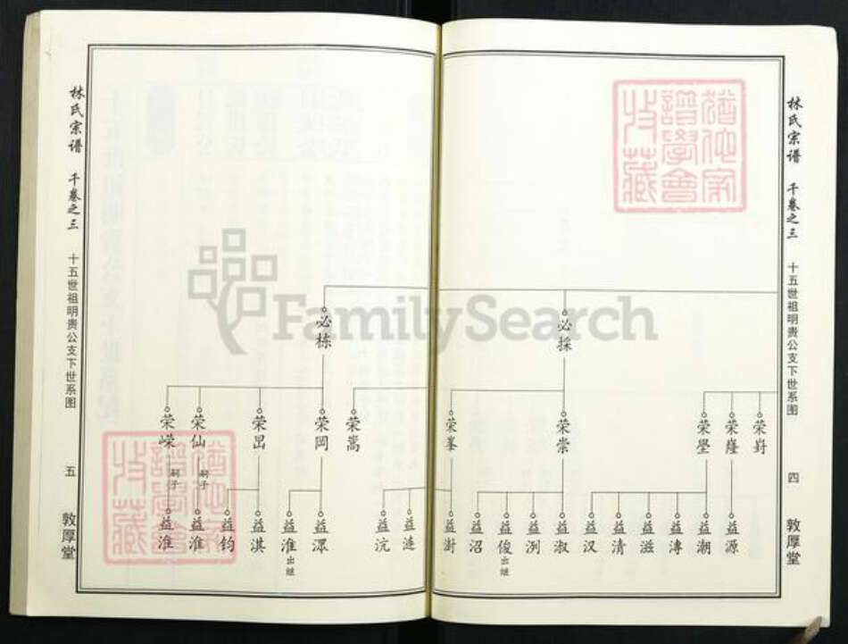 湖北省林氏族谱-林氏宗谱.pdf电子版预览图5