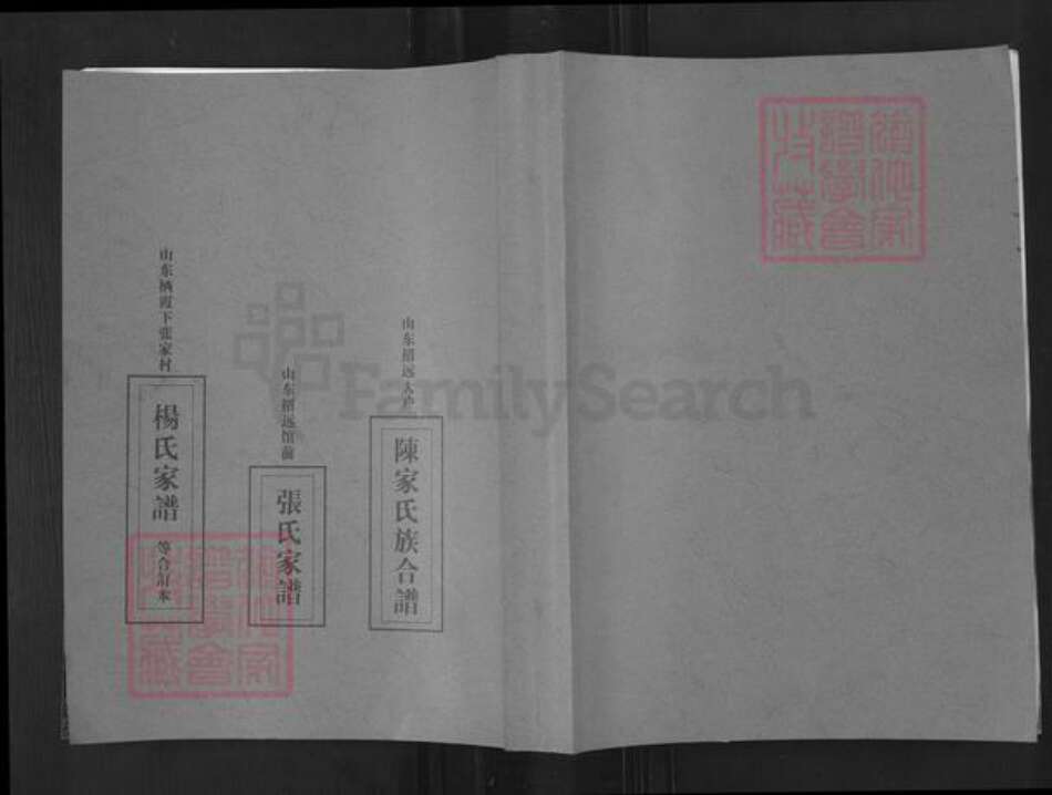 山东省烟台市招远市金岭镇刘氏族谱-大户陈家刘氏尚忠族谱.pdf电子版缩略图