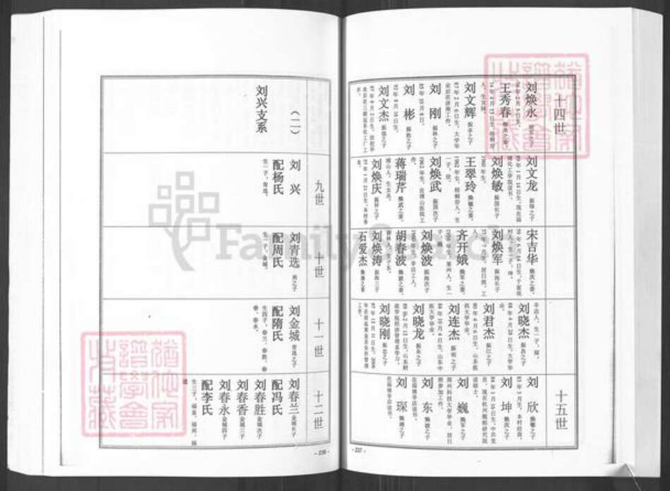 山东省烟台市招远市金岭镇刘氏族谱-大户陈家刘氏尚忠族谱.pdf电子版预览图5