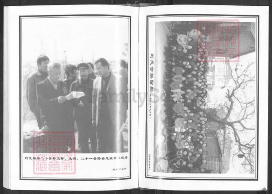 山东省淄博市淄川区刘氏族谱-刘氏世谱.pdf电子版预览图2