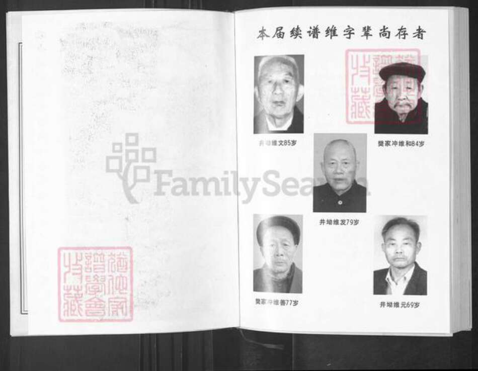 湖北省武汉市蔡甸区刘氏天禄堂族谱-汉阳永安集刘氏宗谱.pdf电子版预览图5