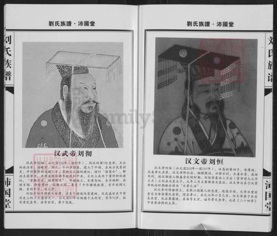 河南省新乡市获嘉县亢村镇刘氏沛国堂族谱-刘氏族谱.pdf电子版预览图4