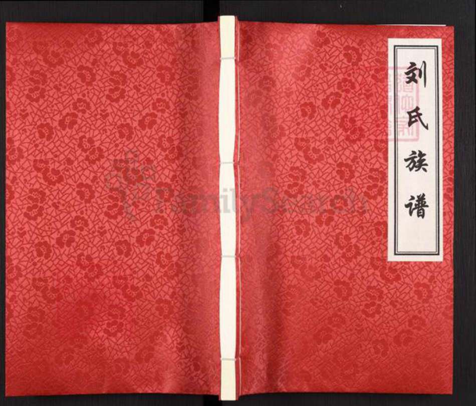 山东省青岛市胶州市胶莱街道刘氏族谱-刘氏族谱.pdf电子版缩略图