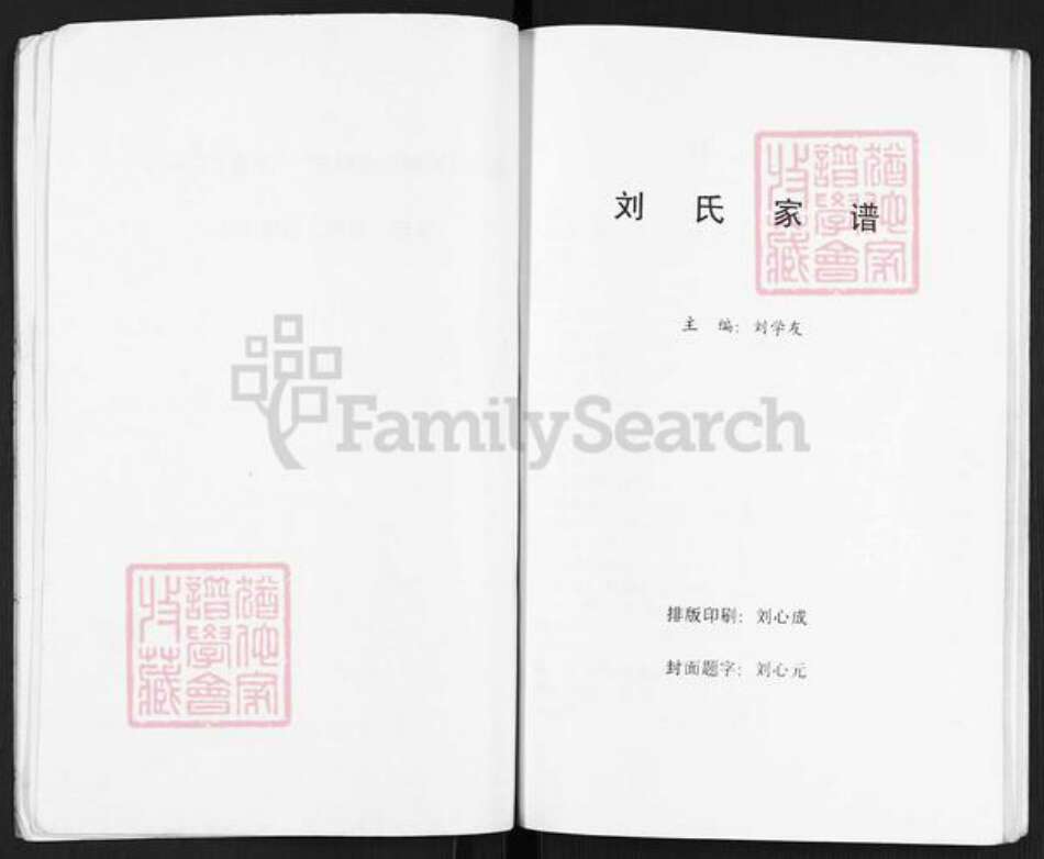 安徽省淮北濉溪县四铺镇刘氏族谱-刘氏家谱.pdf电子版预览图5