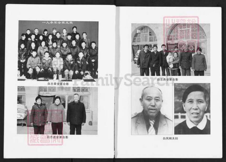 陕西省延安市延川县刘氏族谱-白家原村刘姓族谱.pdf电子版预览图5