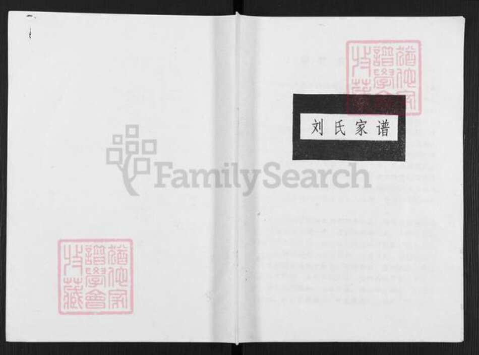 河南省开封市通许县刘氏族谱-刘氏家谱.pdf电子版缩略图