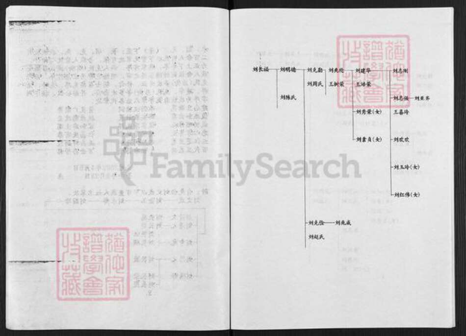 河南省开封市通许县刘氏族谱-刘氏家谱.pdf电子版预览图3