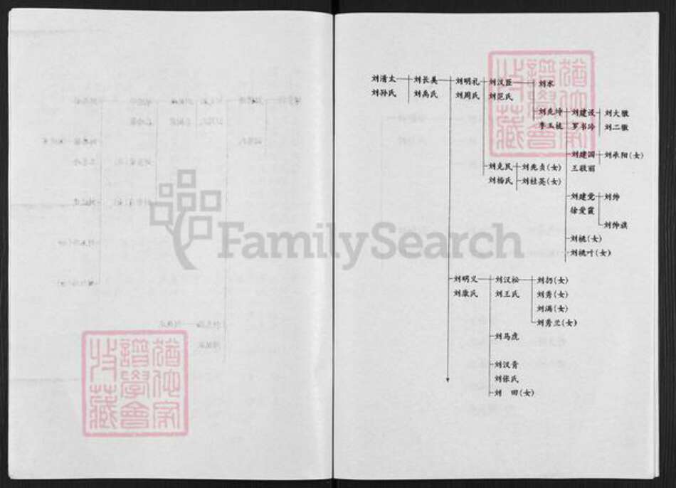 河南省开封市通许县刘氏族谱-刘氏家谱.pdf电子版预览图4