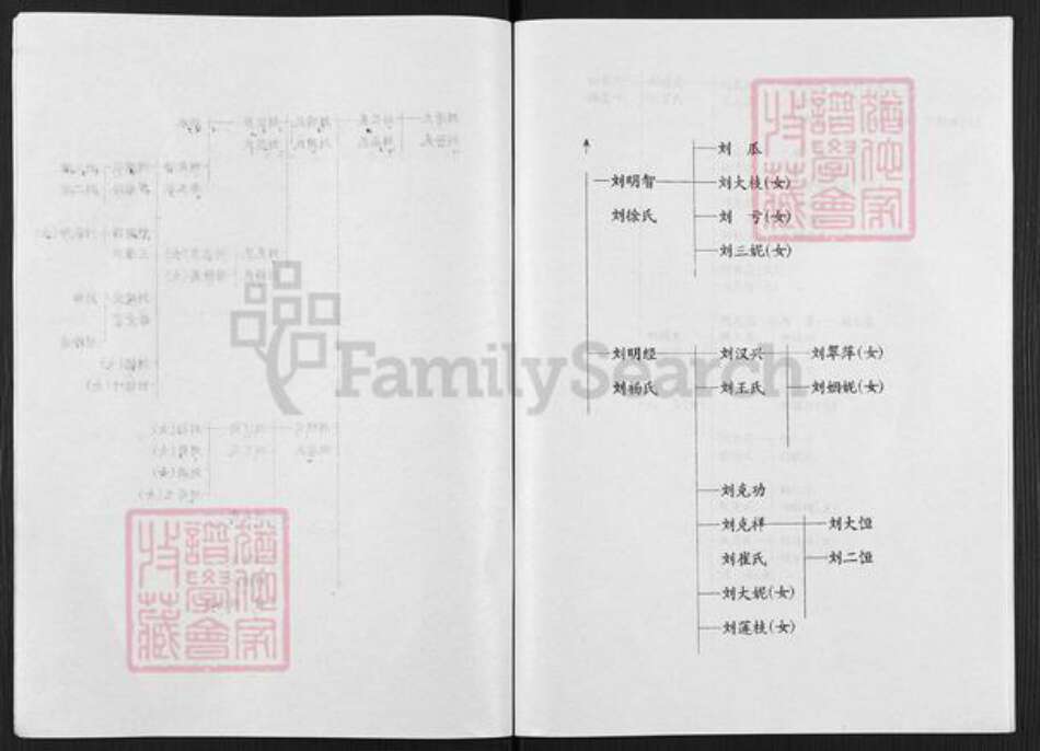 河南省开封市通许县刘氏族谱-刘氏家谱.pdf电子版预览图5