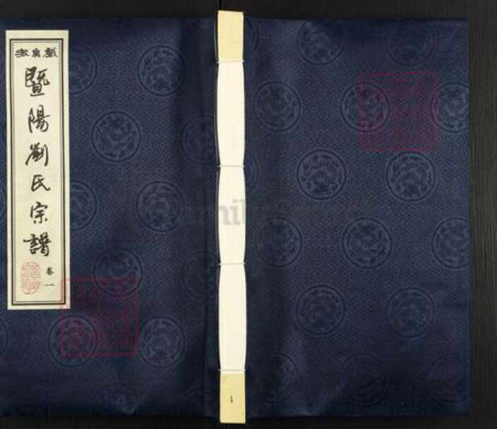 江苏省泰州市海陵区城北街道刘氏五忠堂族谱-戏鱼墩暨阳刘氏宗谱.pdf电子版缩略图