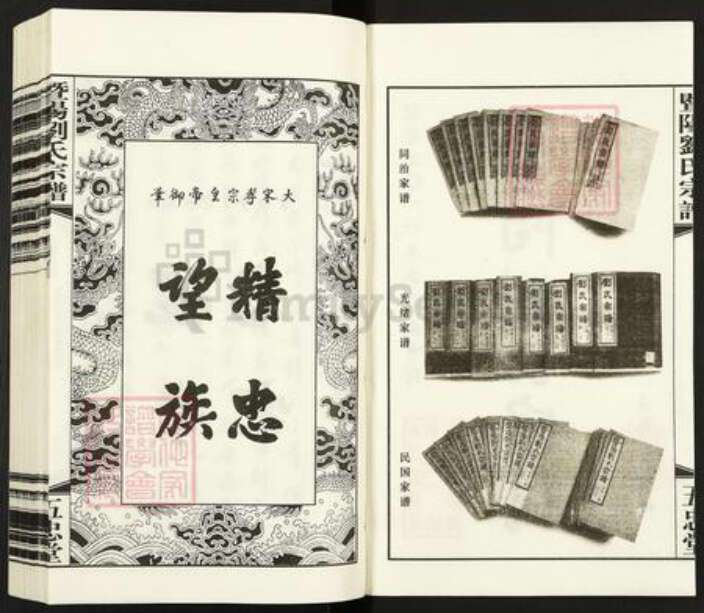 江苏省泰州市海陵区城北街道刘氏五忠堂族谱-戏鱼墩暨阳刘氏宗谱.pdf电子版预览图2