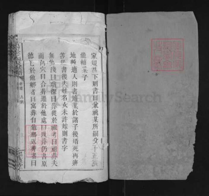 江西省宜春市袁州区刘氏墨庄堂族谱-宜阳台上刘氏族谱.pdf电子版预览图1