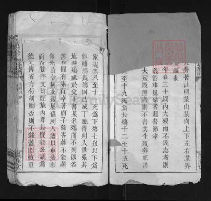 江西省宜春市袁州区刘氏墨庄堂族谱-宜阳台上刘氏族谱.pdf电子版预览图2