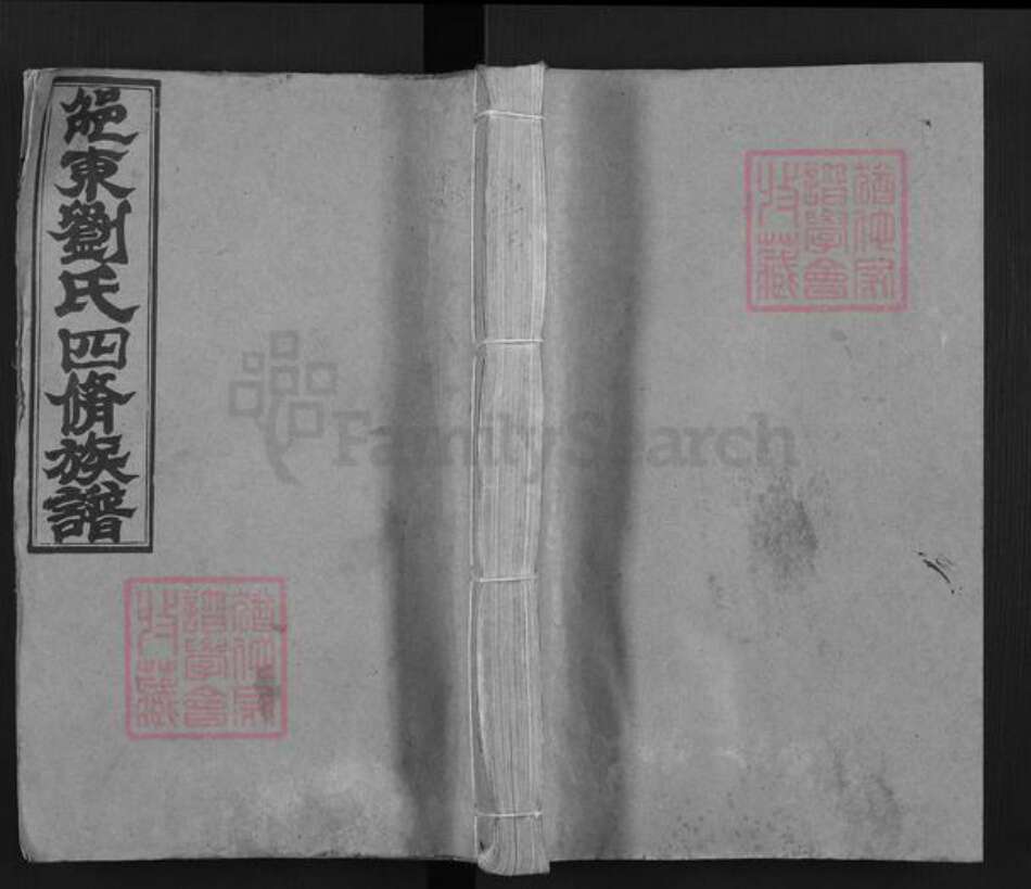 湖南省邵阳市邵东刘氏黎照堂族谱-邵东刘氏四修族谱.pdf电子版缩略图