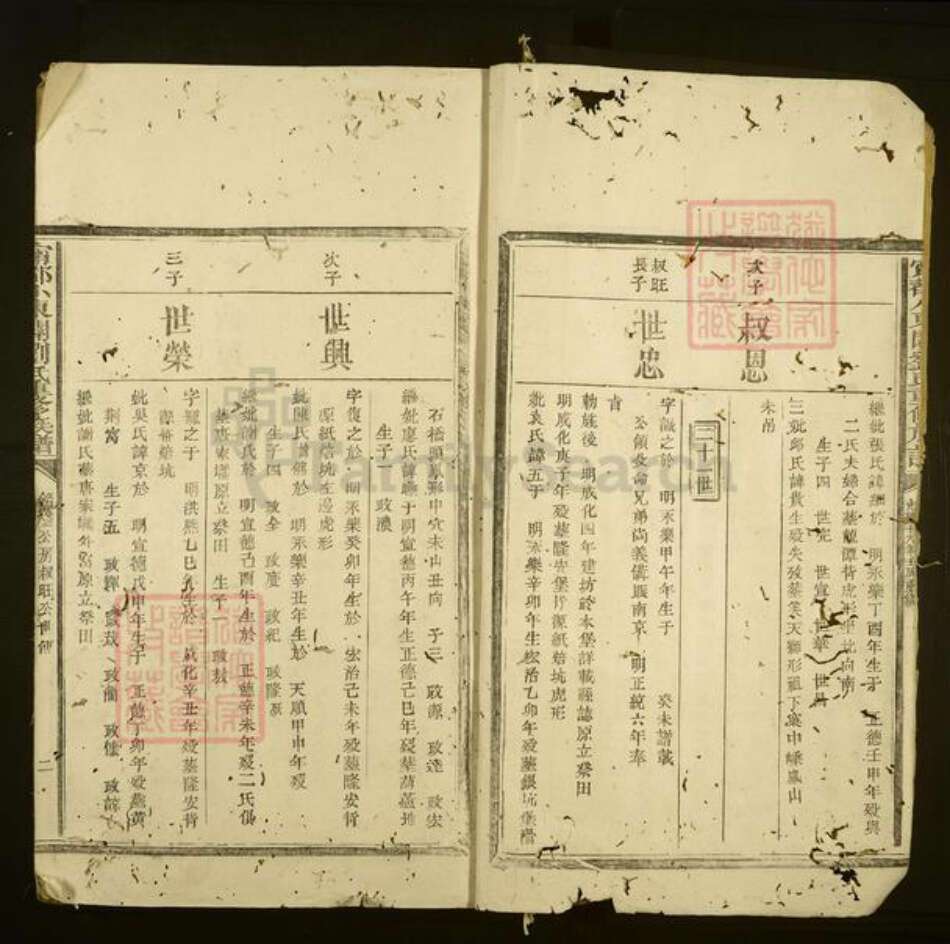 江西省赣州市宁都县刘氏族谱-宁都小东关刘氏重修族谱.pdf电子版预览图2