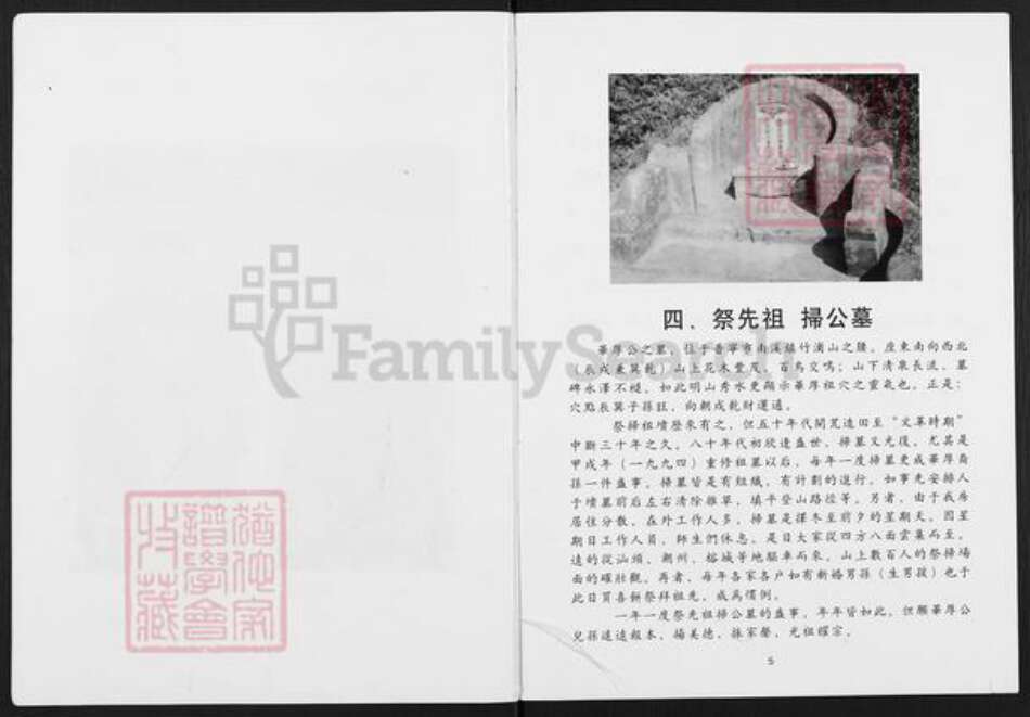 广东省揭阳市普宁市梅林镇刘氏族谱-刘氏章茹公家谱新编.pdf电子版预览图5