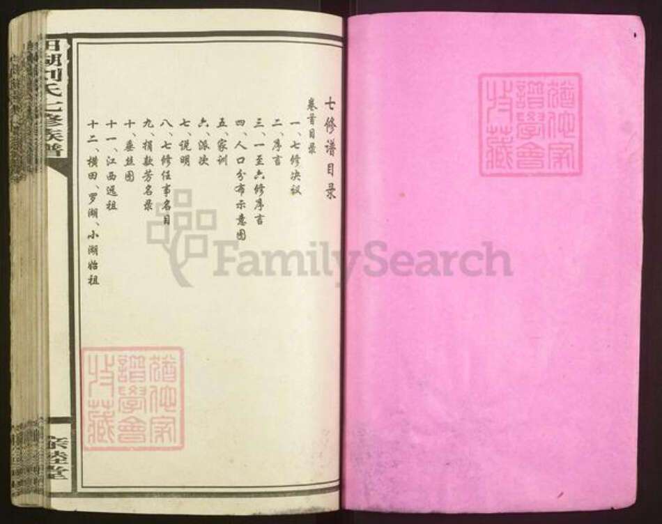 湖南省长沙市宁乡市湖南省长沙市宁乡市刘氏亲睦堂族谱-湖南宁乡田湖刘氏七修族谱.pdf电子版预览图2