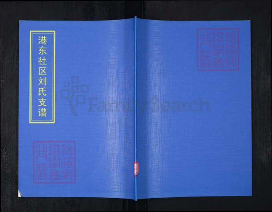 山东省青岛市崂山区刘氏族谱-港东社区刘氏支谱.pdf电子版缩略图