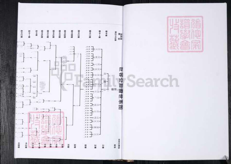 山东省青岛市莱西市刘氏族谱-刘氏族谱.莱西端口子店集河北.pdf电子版预览图3
