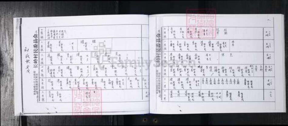 山东省青岛市崂山区刘氏族谱-长岭社区刘氏族谱.pdf电子版预览图5