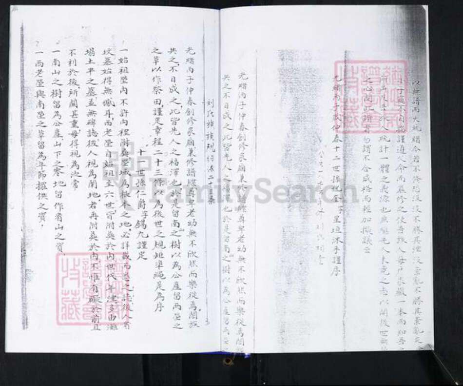 山东省青岛市崂山区刘氏族谱-即墨刘氏族谱.pdf电子版预览图4