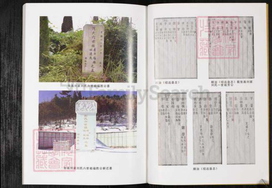 山东省烟台市招远市刘氏族谱-张画刘氏族谱.pdf电子版预览图4